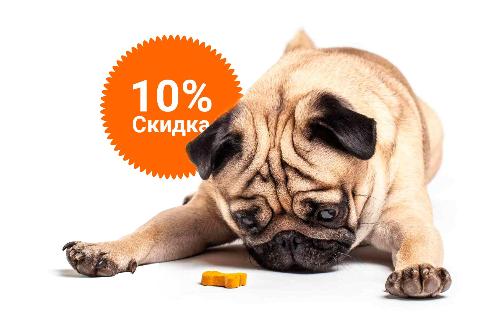 -10% на зоотовары акция в Талице компании Инженер выгодно